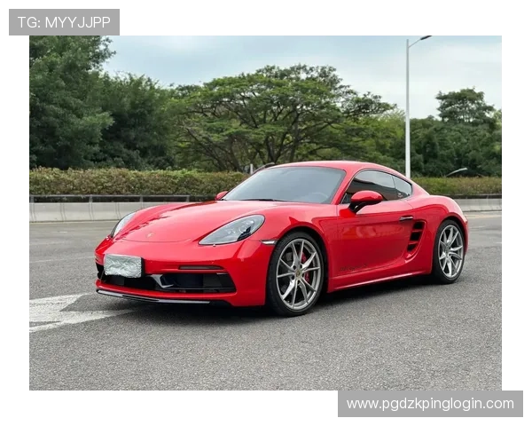 保时捷PG娱乐官方网站为用户提供专业的车辆配置与定制服务，让你的梦想跑车变为现实