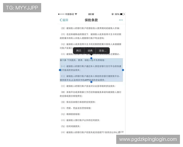 PG国际服充值安全指南，避免账号被盗和资金损失的实用建议